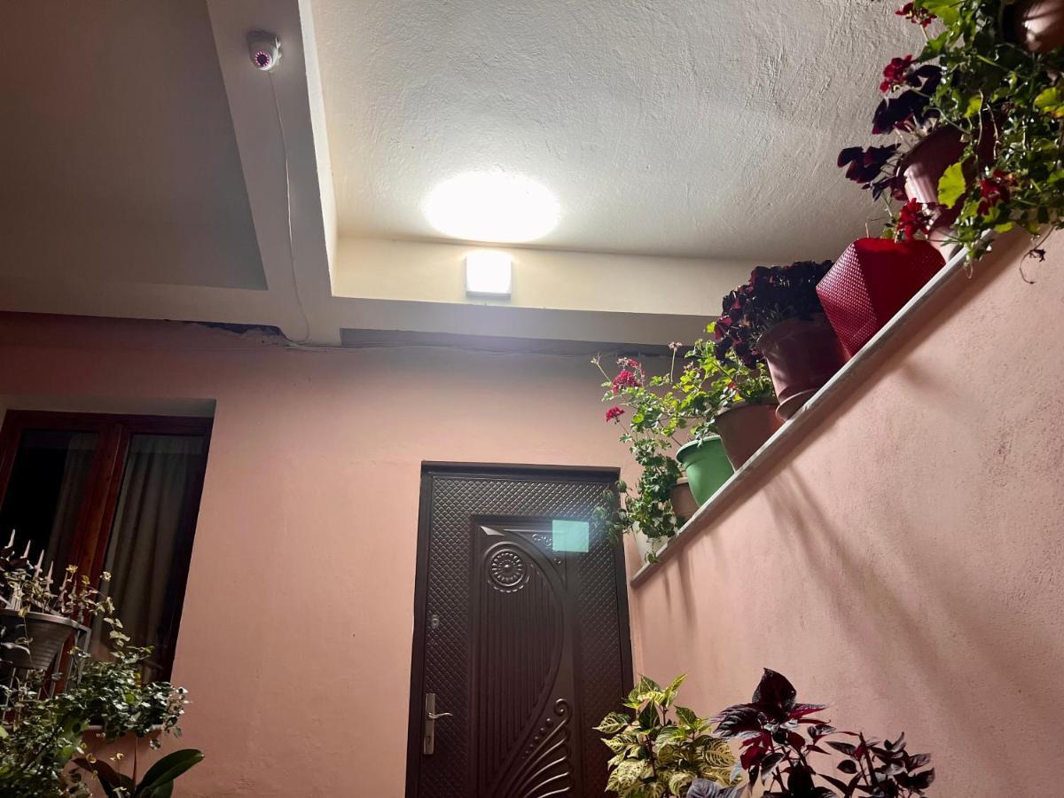 Villa Ensalv Berat - Apartment - Room - Penthouse מראה חיצוני תמונה